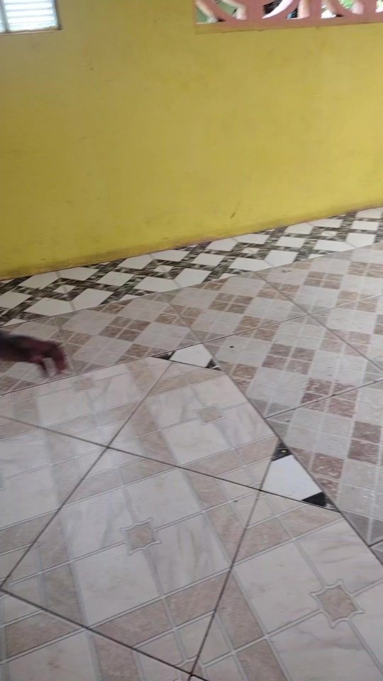 TikTok video thumbnail by cassandrawilson81
