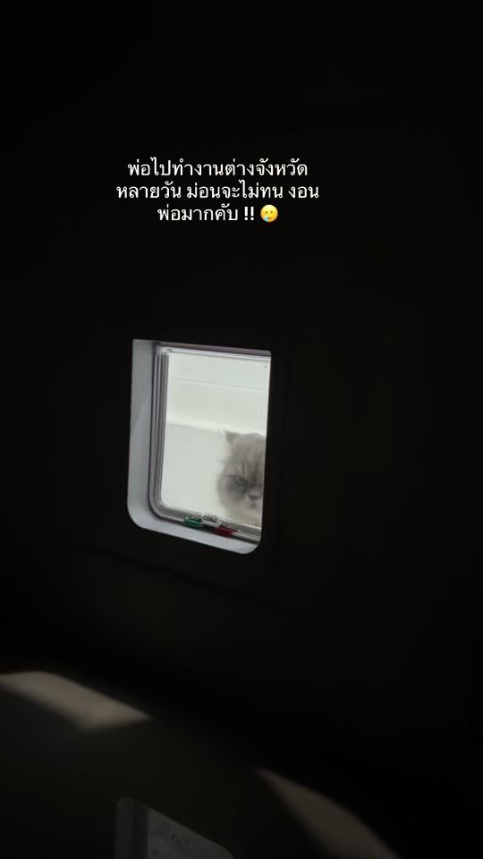 TikTok video thumbnail by mimon_thailand
