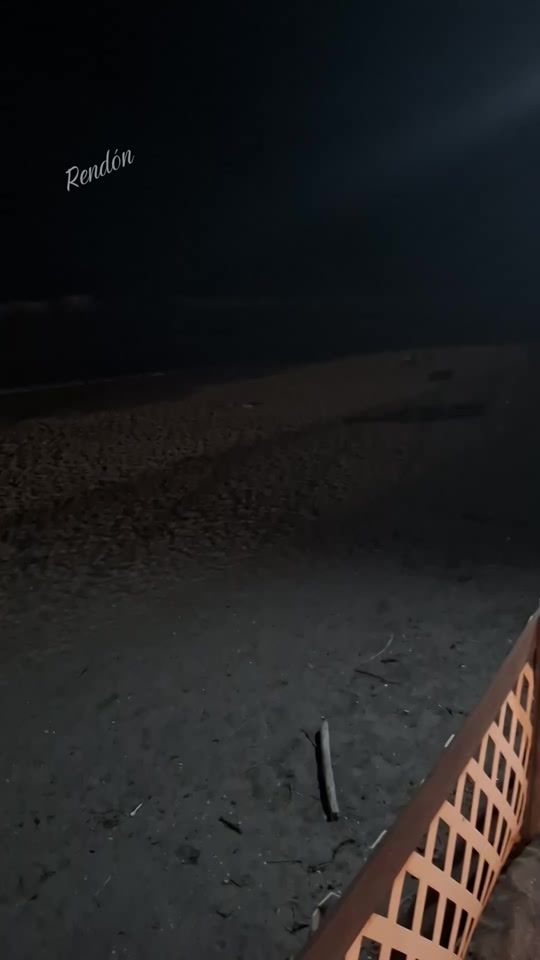 TikTok video thumbnail by rendon1673