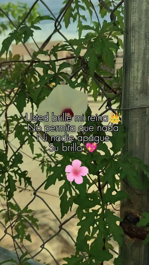 TikTok video thumbnail by adriolveda