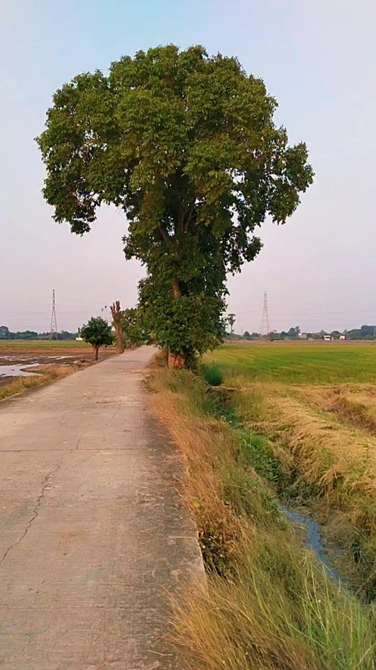 TikTok video thumbnail by pra_did29