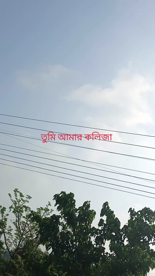 TikTok video thumbnail by sheikh.dulali