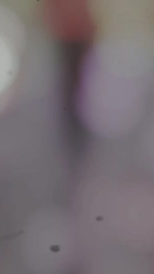 TikTok video thumbnail by team_rh_
