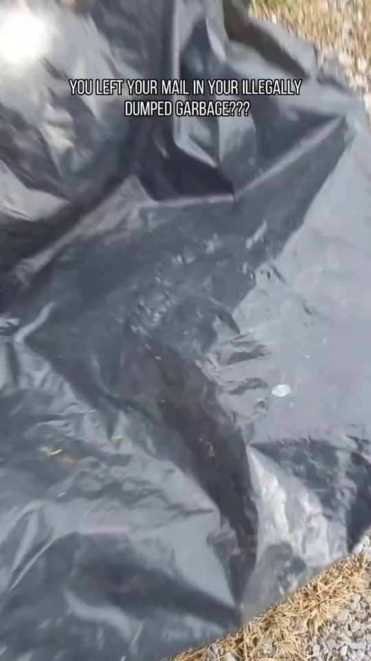 TikTok video thumbnail by thelitterhunter