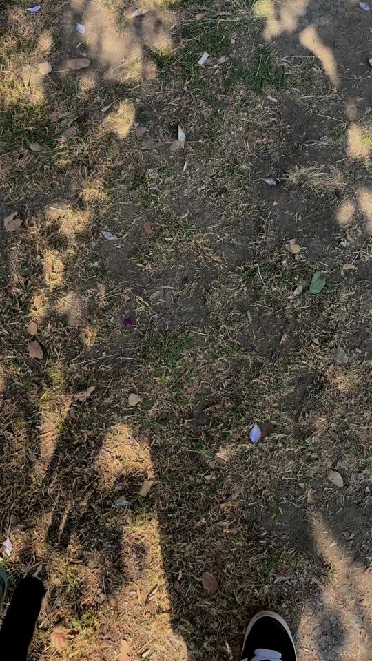 TikTok video thumbnail by ivan.carraxco