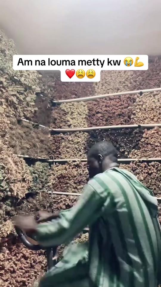 TikTok video thumbnail by dambal_tv