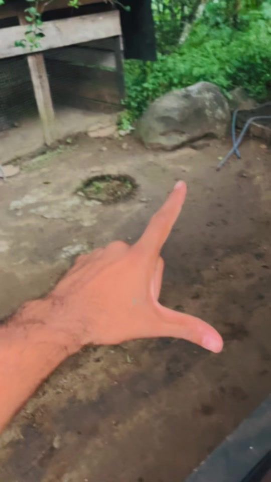 TikTok video thumbnail by smvmadushan