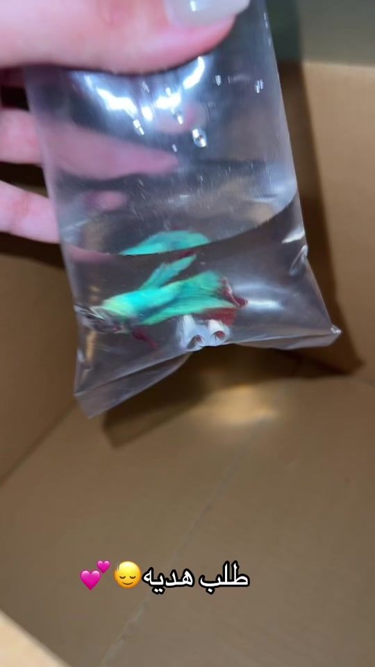 TikTok video thumbnail by fish_nemo4