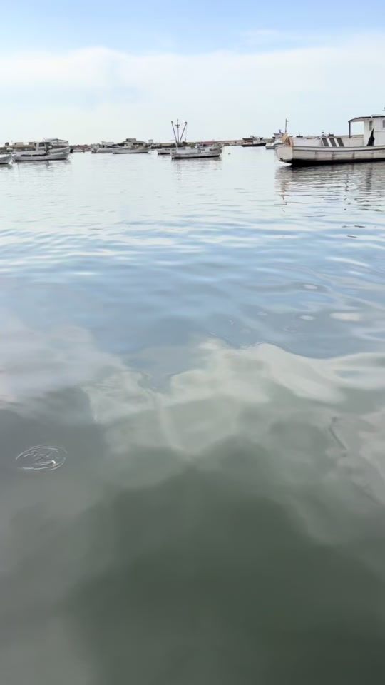 TikTok video thumbnail by ward24_2
