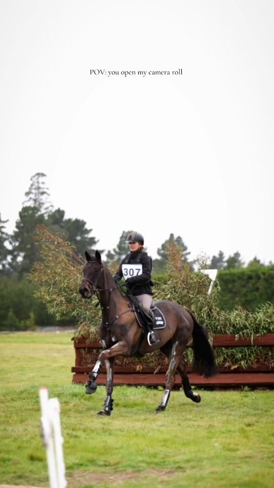 TikTok video thumbnail by brodieroberts.equestrian