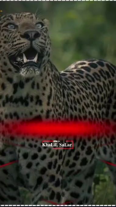 TikTok video thumbnail by khalilsalar444
