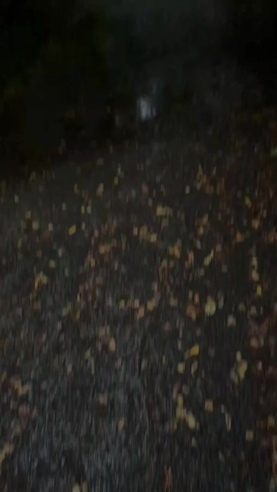 TikTok video thumbnail by tiktoker.313453