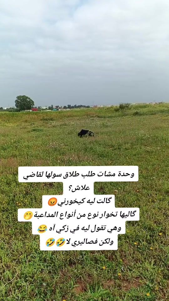 TikTok video thumbnail by roman_khan1982