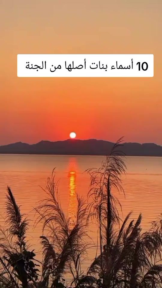TikTok video thumbnail by tachalbi2