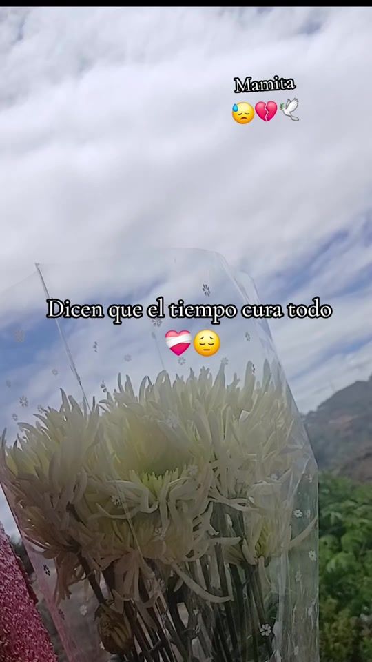 TikTok video thumbnail by daysijg32
