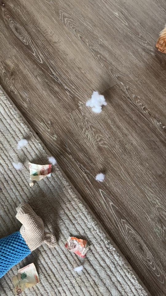 TikTok video thumbnail by issavasquez_