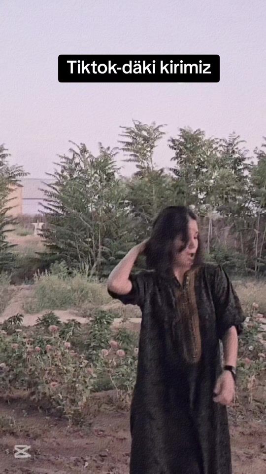 TikTok video thumbnail by analiztm_