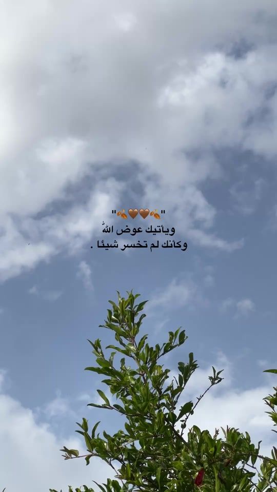 TikTok video thumbnail by 3li__24_