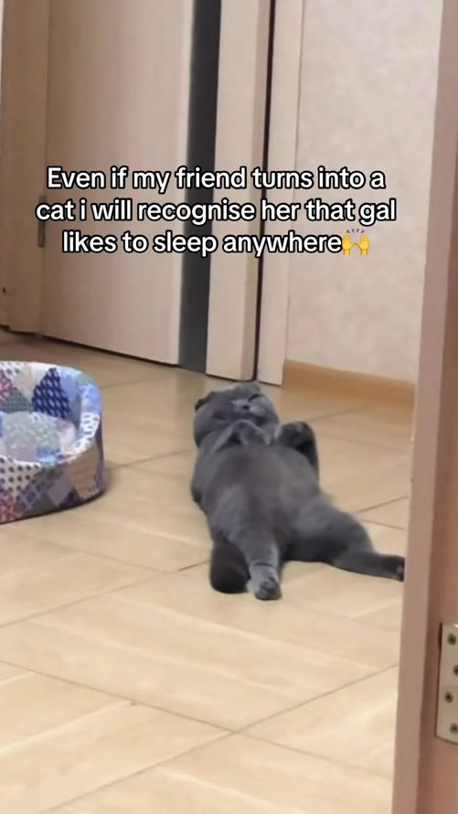 TikTok video thumbnail by therealaymar