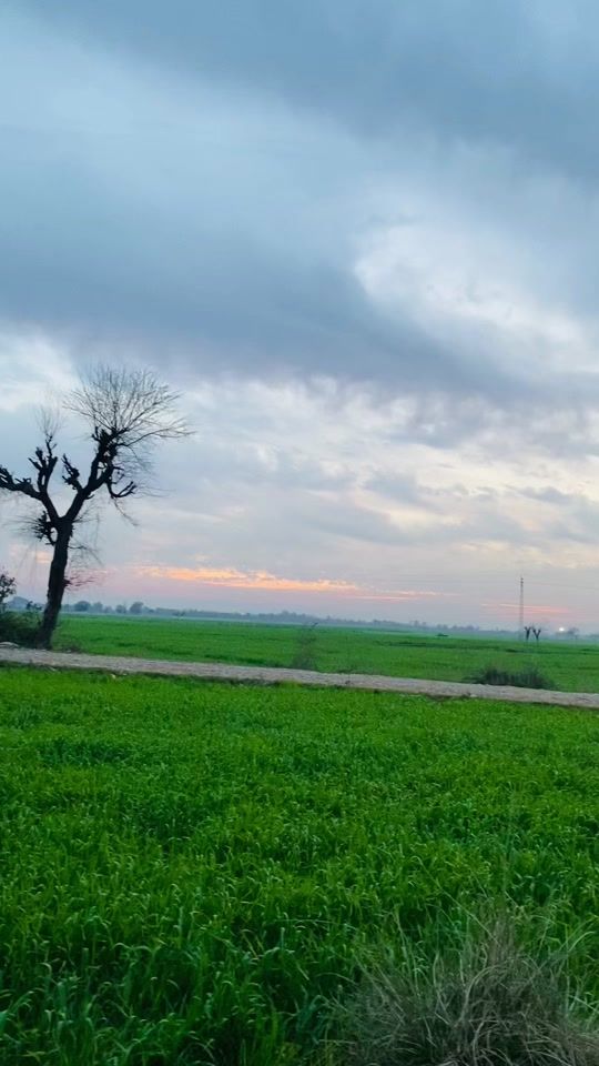 TikTok video thumbnail by joharsoofi75