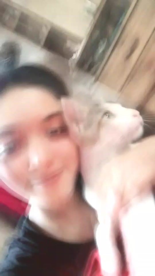 TikTok video thumbnail by sarmin.kasfiya