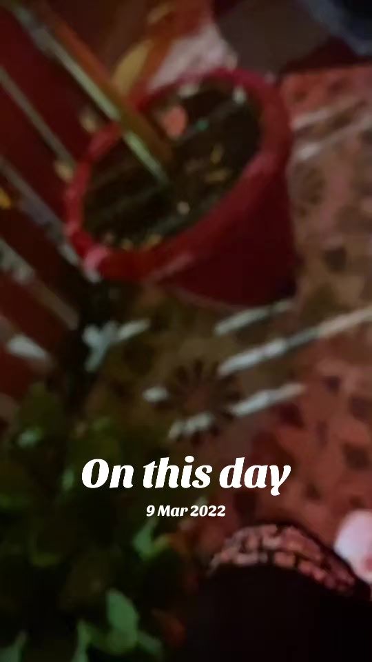 TikTok video thumbnail by ravin230boss2