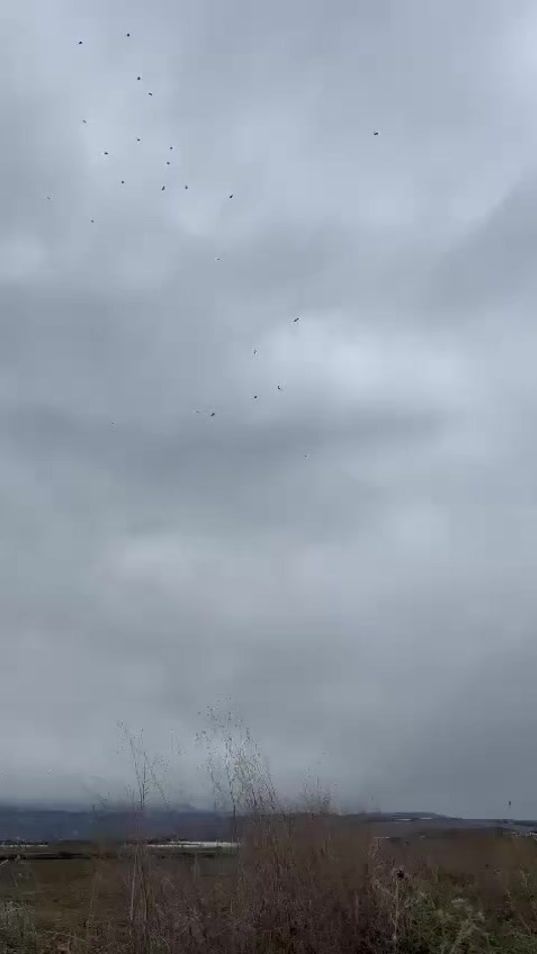 TikTok video thumbnail by 370026omar