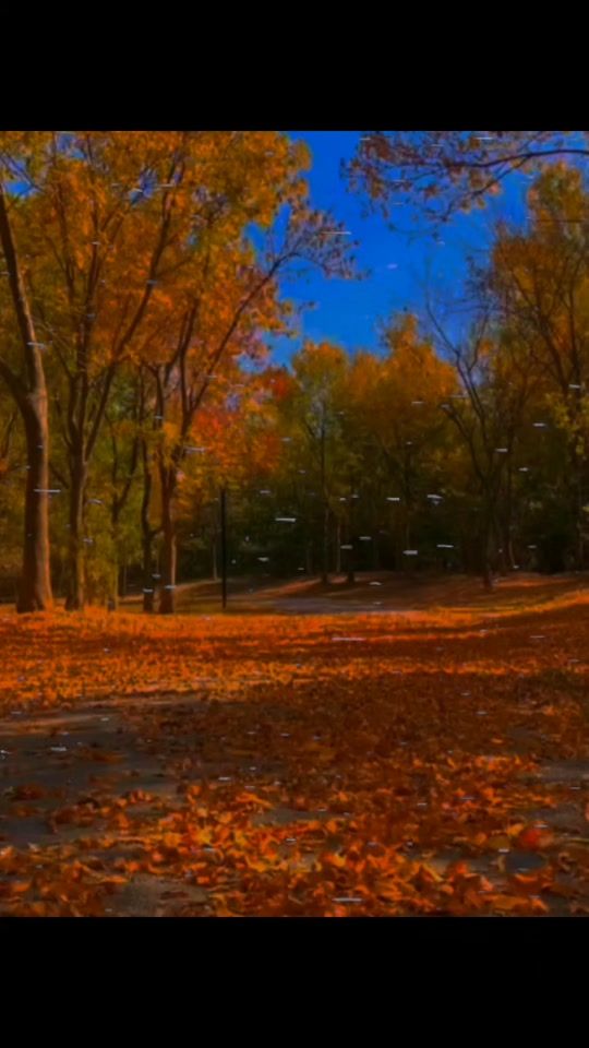 TikTok video thumbnail by batya_abdullayev021