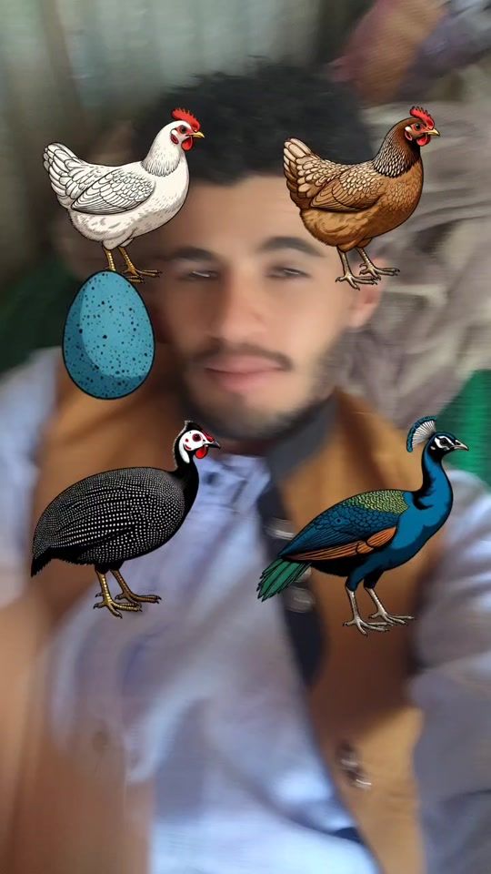 TikTok video thumbnail by .ma60492