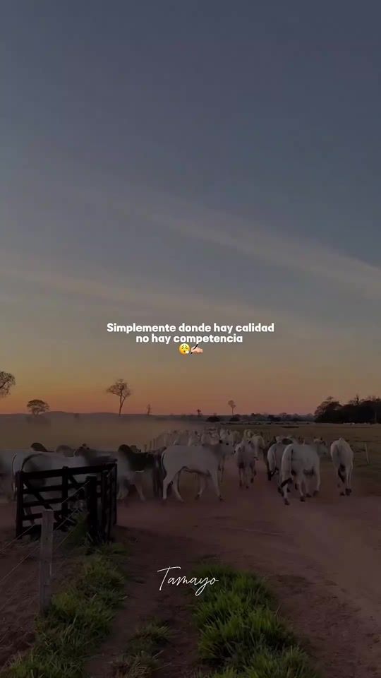TikTok video thumbnail by el_tipico_507_