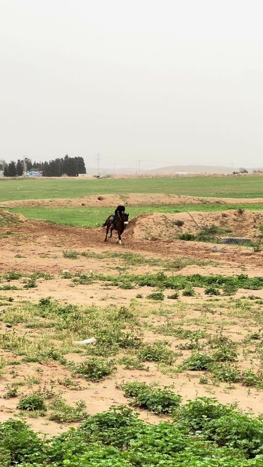TikTok video thumbnail by _magd_1