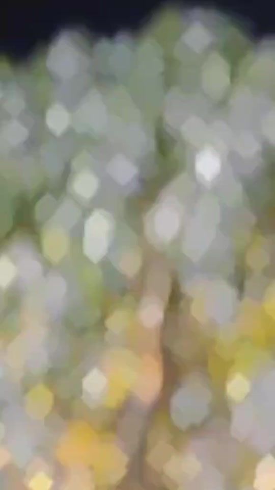 TikTok video thumbnail by user928153625