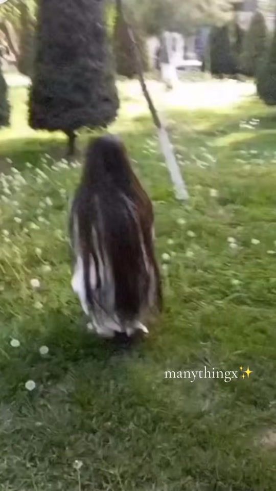 TikTok video thumbnail by manythingx