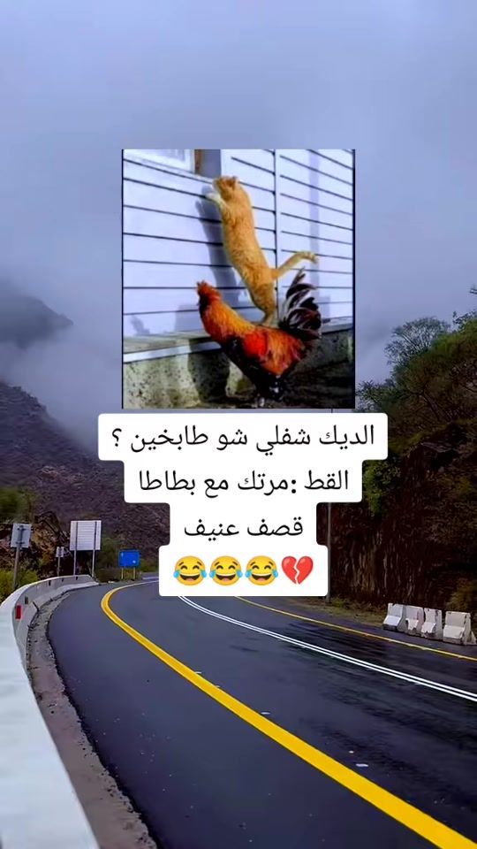 TikTok video thumbnail by user3104833617810