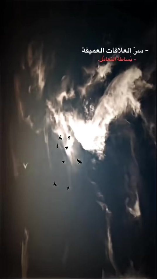TikTok video thumbnail by x.c.ccc