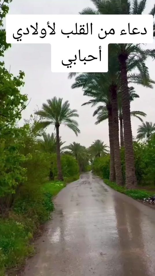 TikTok video thumbnail by abo_yousef18