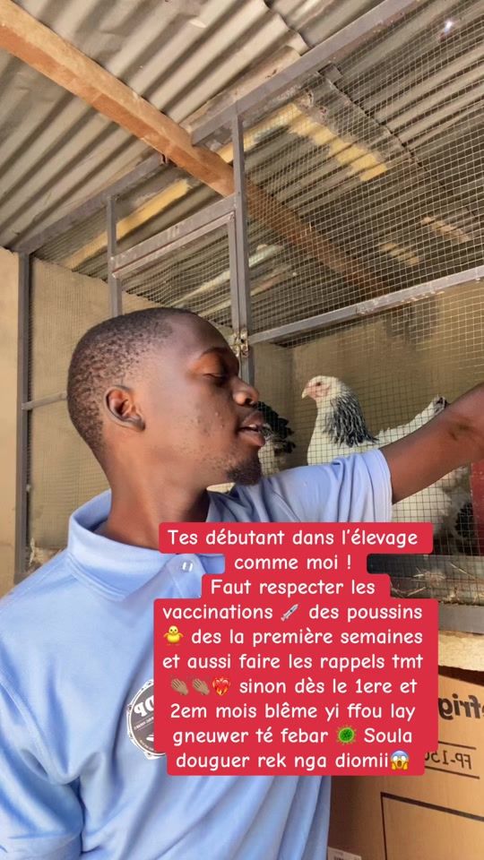 TikTok video thumbnail by professeur_221