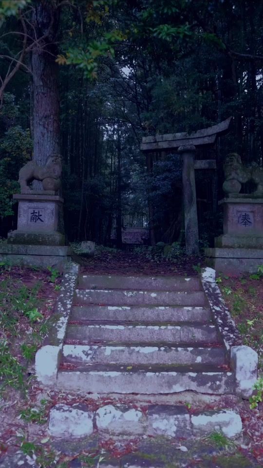 TikTok video thumbnail by hiroko.nogami
