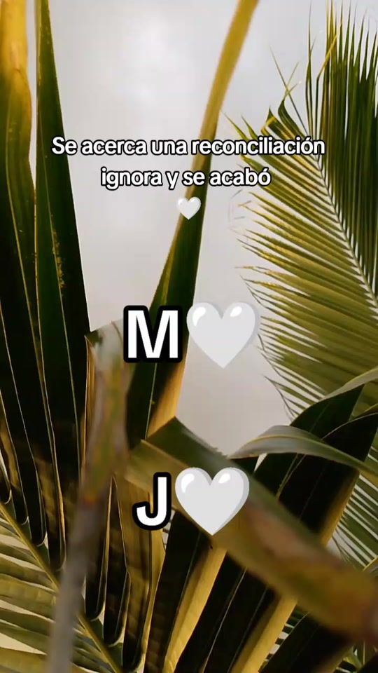 TikTok video thumbnail by maestro_espiritual08