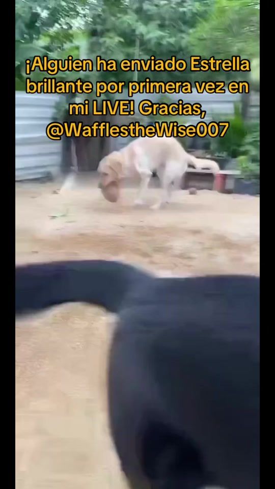 TikTok video thumbnail by molly.labra