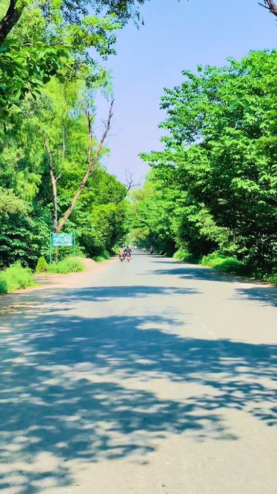 TikTok video thumbnail by shani71713