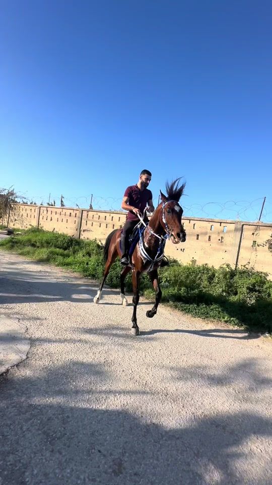 TikTok video thumbnail by rawadhawilaa