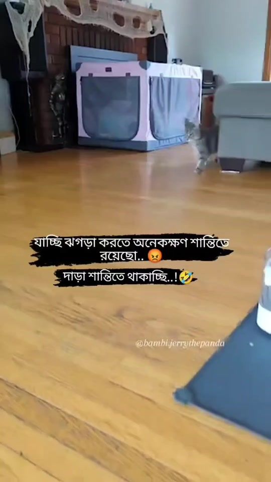 TikTok video thumbnail by realbad021