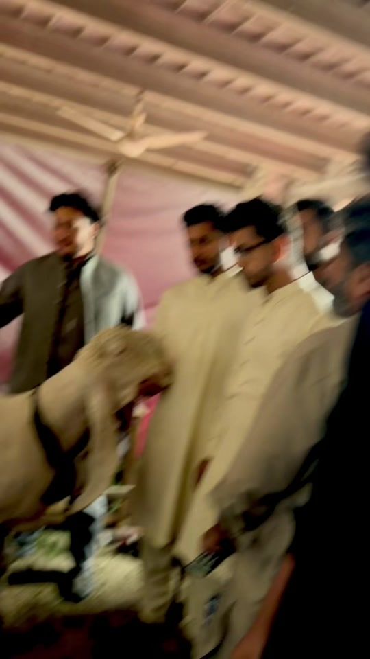 TikTok video thumbnail by mehranamir