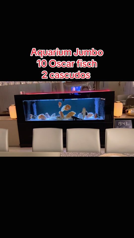 TikTok video thumbnail by kingofsniper500
