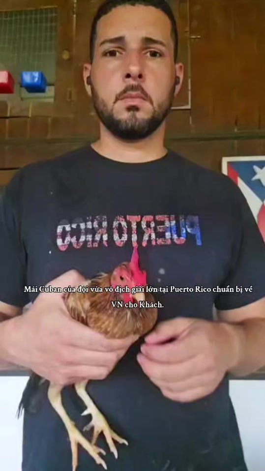 TikTok video thumbnail by mr.kim.sonic