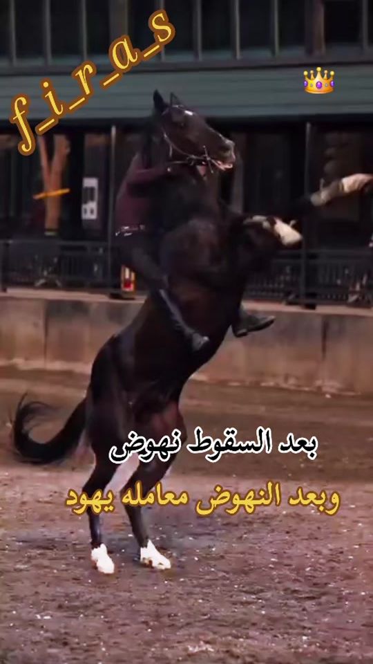TikTok video thumbnail by firas____515