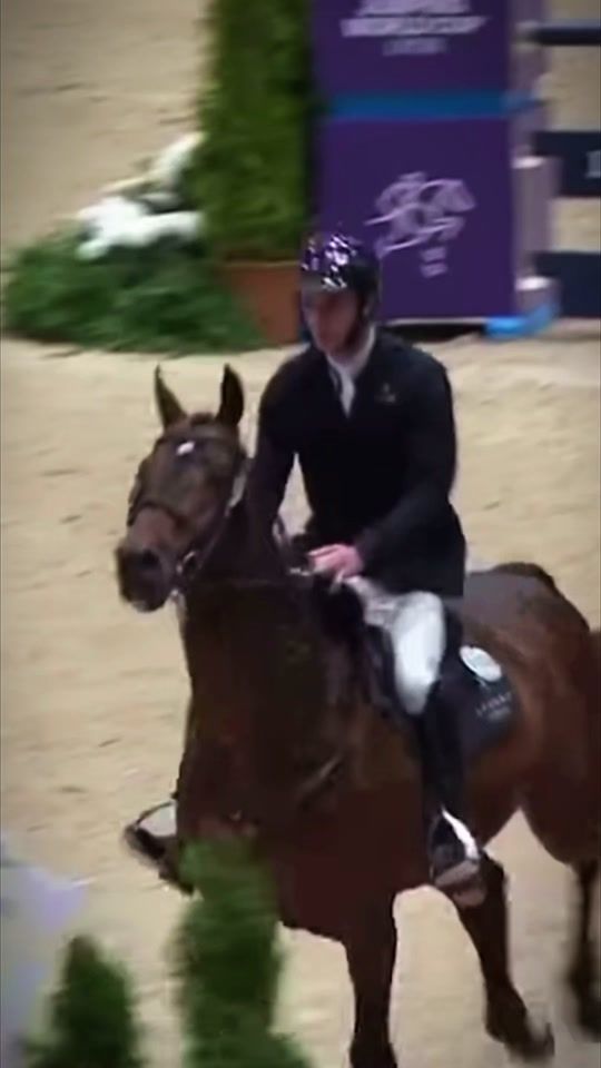 TikTok video thumbnail by _equineedits