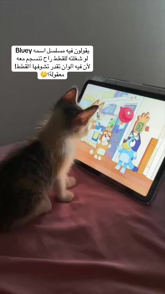 TikTok video thumbnail by ekitten1