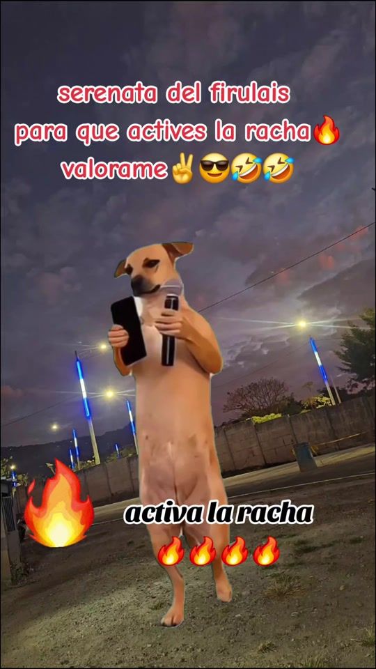 TikTok video thumbnail by imery3023